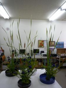 光生園
