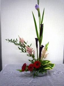 カラー