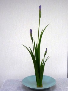 生花