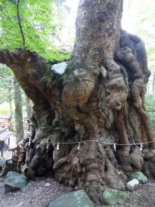 2000年