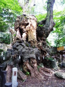 すごい