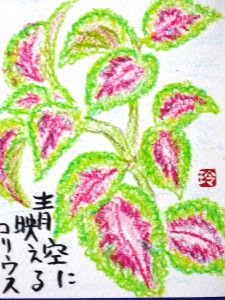 コリウス