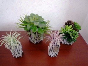 P1050492