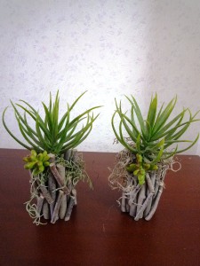 P1050499