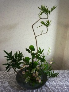岩南天
