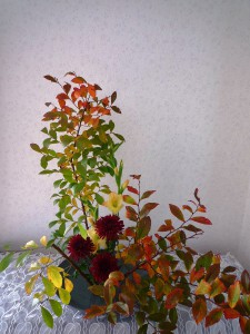紅葉