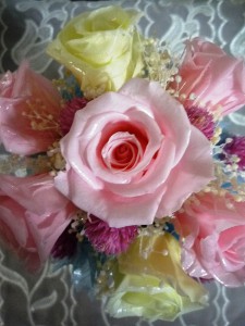 花すたいる