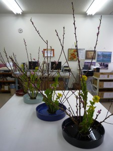 光生園2