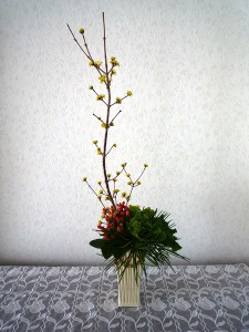 枝