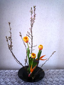 チューリップ
