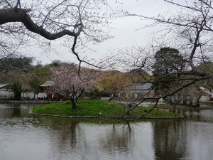 枝ぶり
