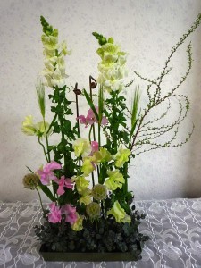 杉山さん
