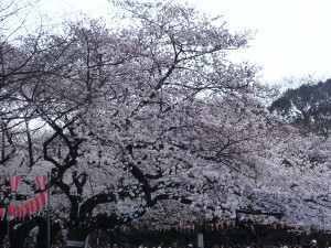 上野
