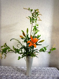 すかし百合