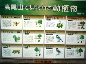 高尾山3