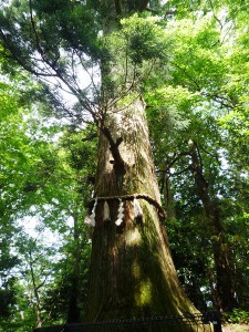 高尾山2