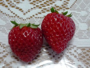 いちご