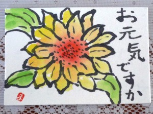 ひまわり