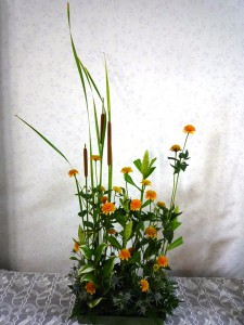 杉山さん