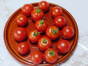 ミニトマト