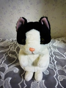 子猫