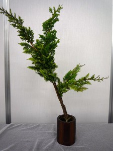 生花