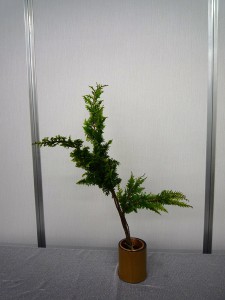 生花2