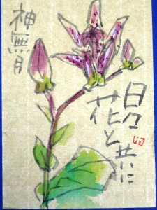 三野先生