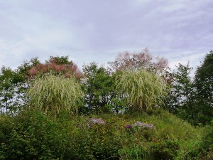 陽殖園1