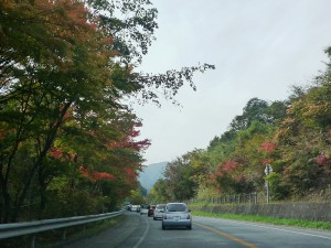 車