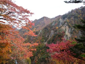 紅葉6