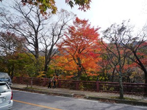紅葉