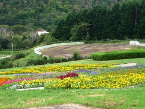 ハーブ園