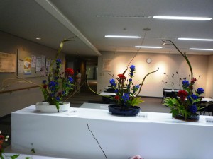 光生園