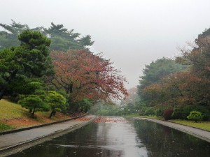 八柱霊園