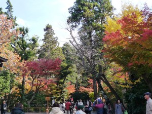 鶴岡八幡宮