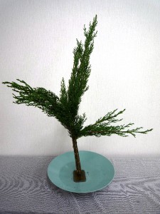 生花