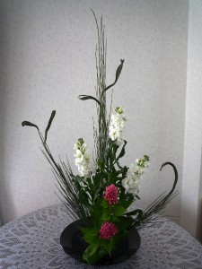 みどりさん