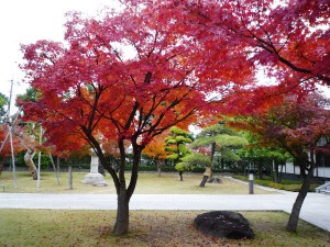 花田苑