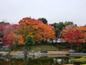花田苑7