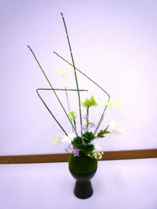 苔丸2