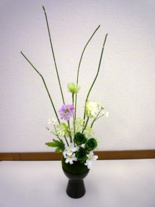 苔丸3