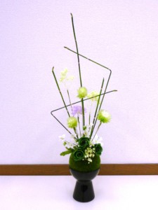 苔丸