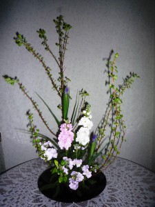 盛花2