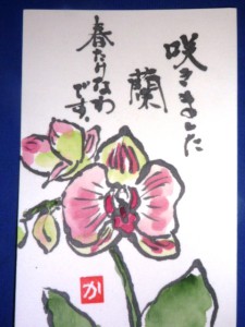 らん