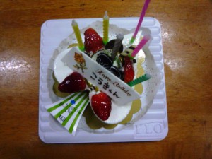 こうき君2