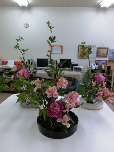 光生園2