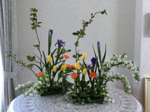 チューリップ
