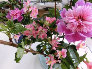 芍薬