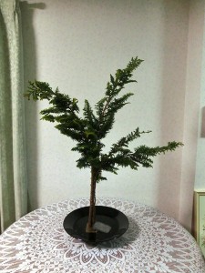 金澤さん
